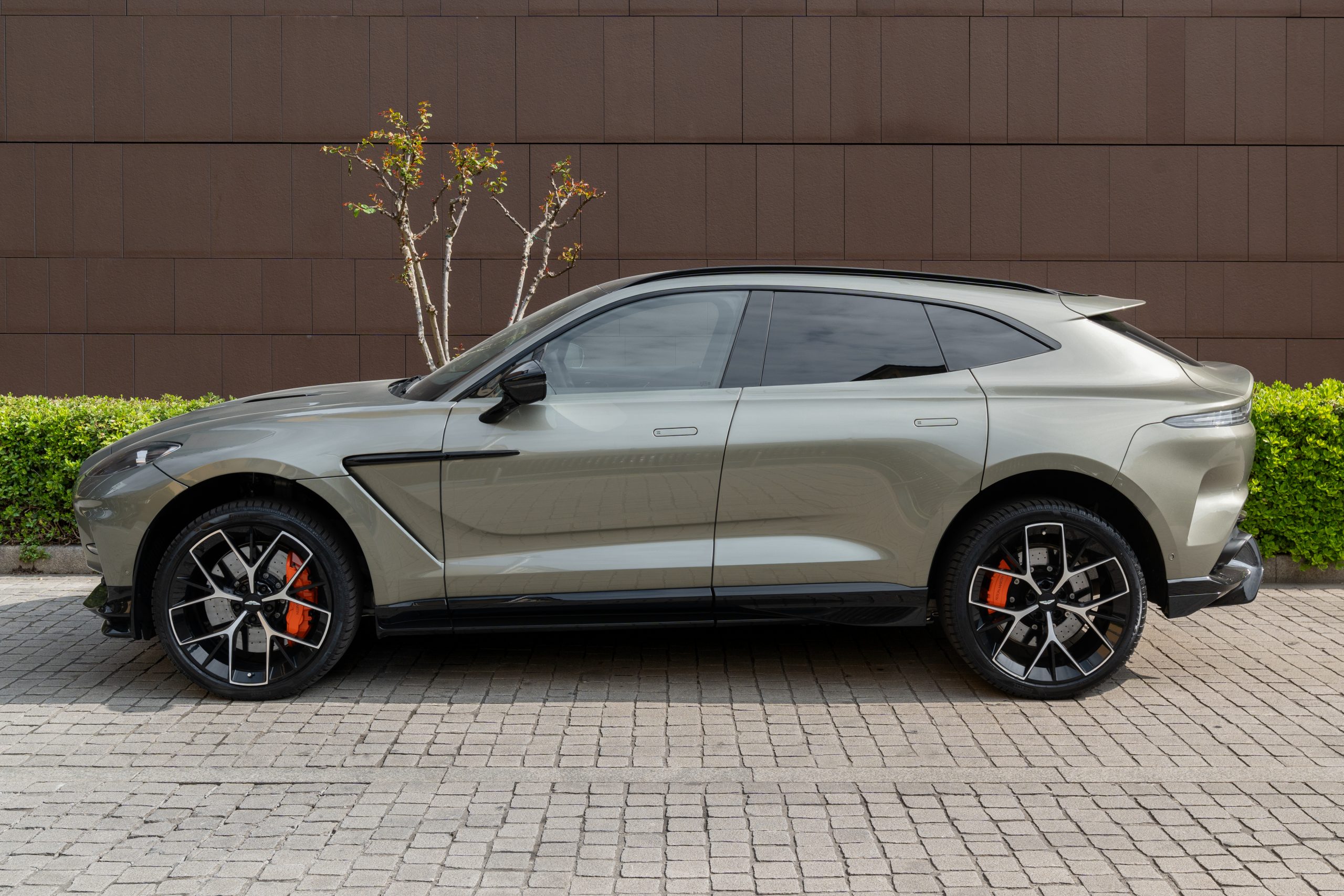 Aston Martin DBX vista 4