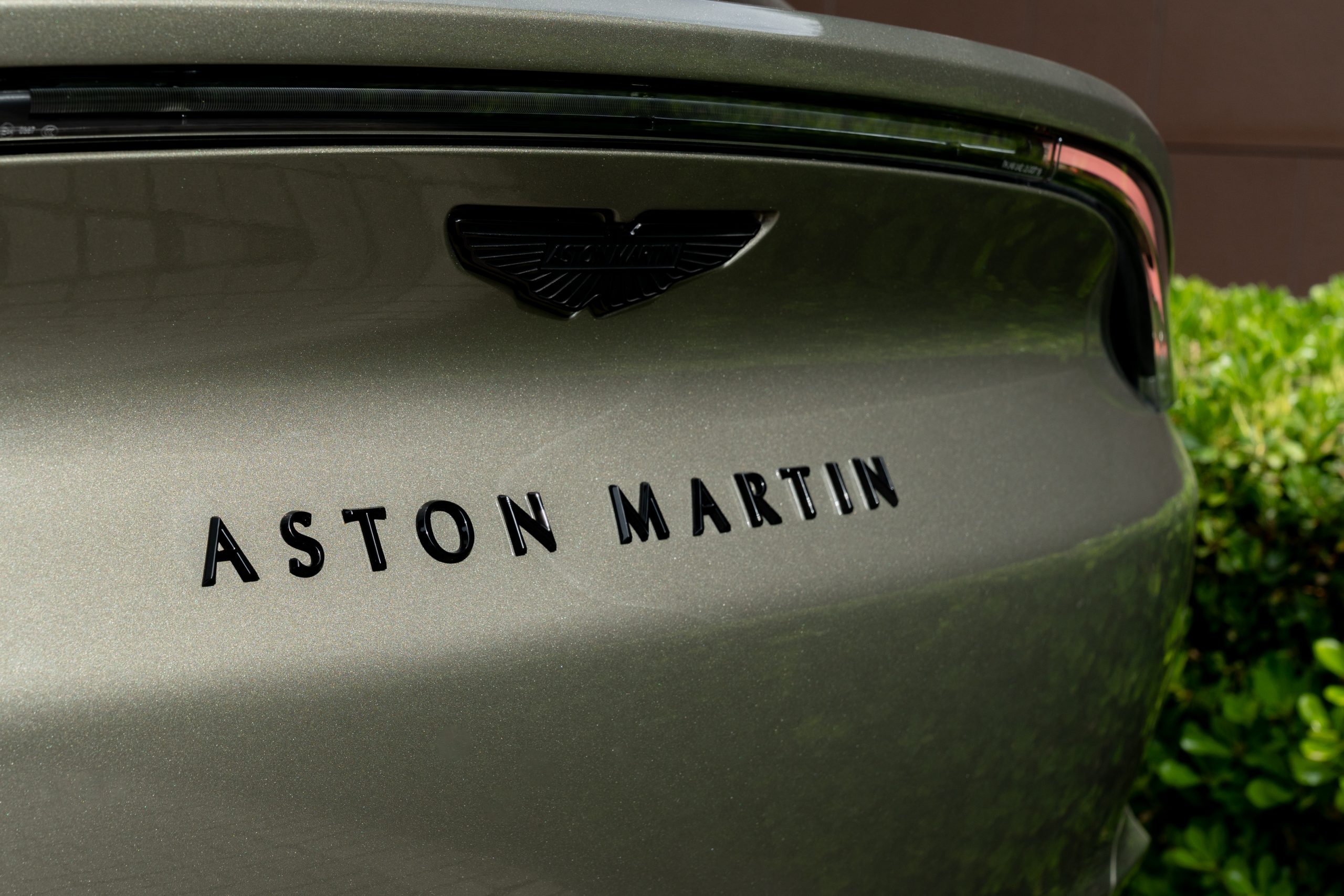 Aston Martin DBX vista 9
