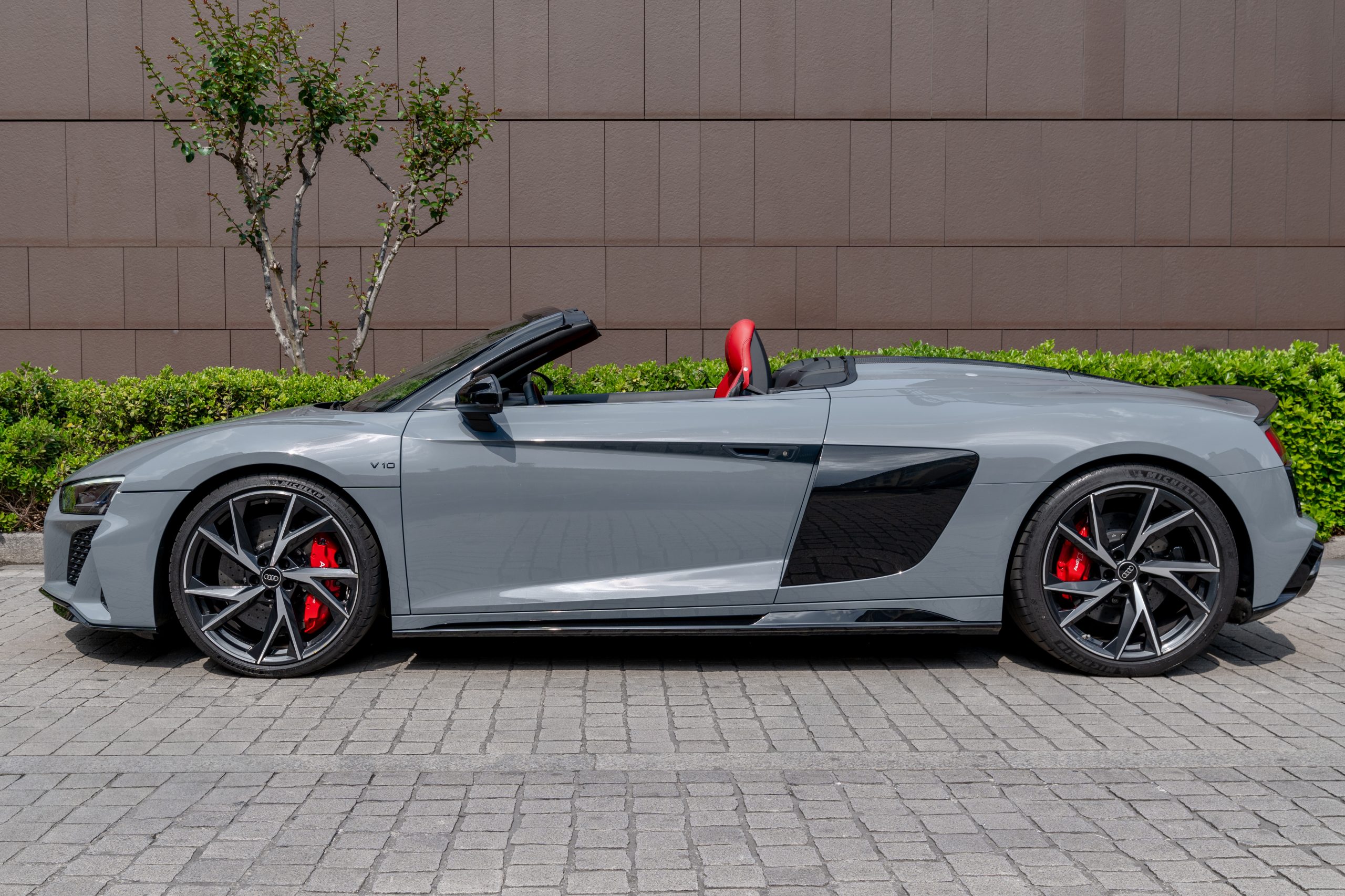 Audi R8 vista 9